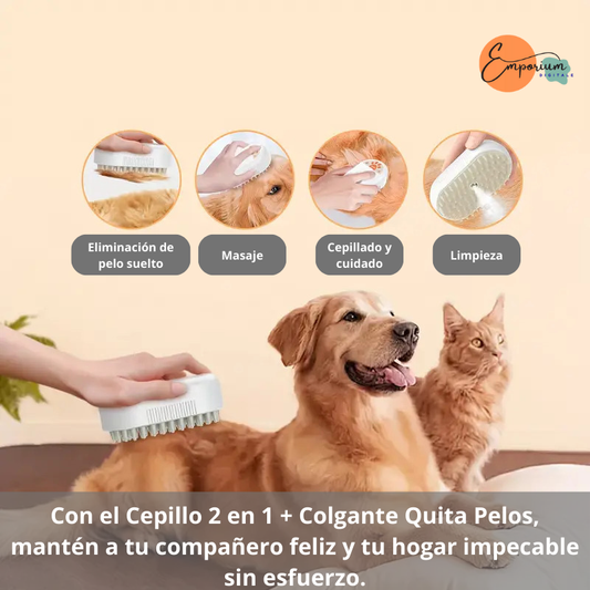 Cepillo 2 en 1 + Colgante Quita Pelos USB Recargable