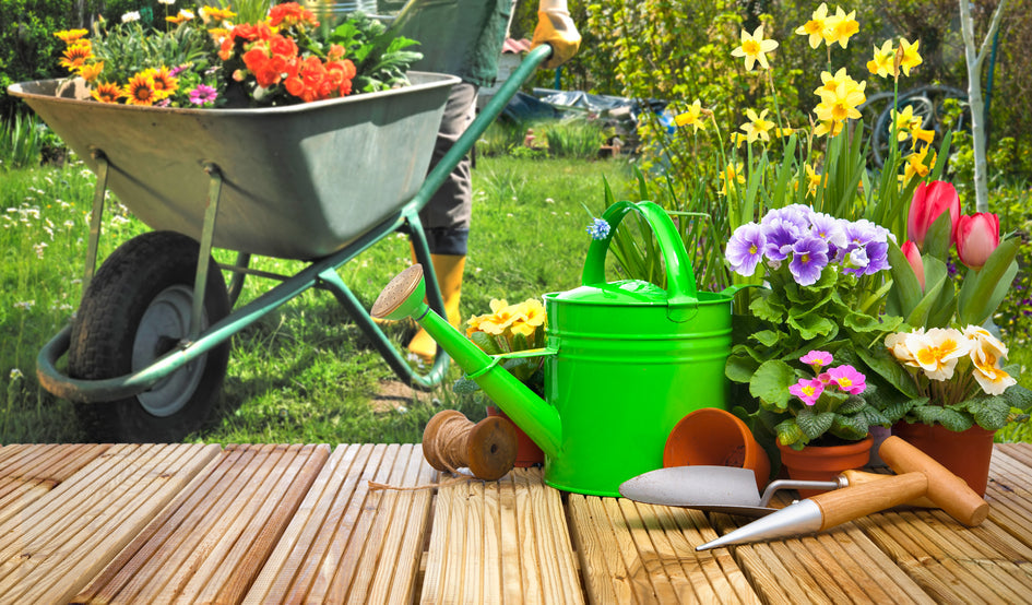 Jardin