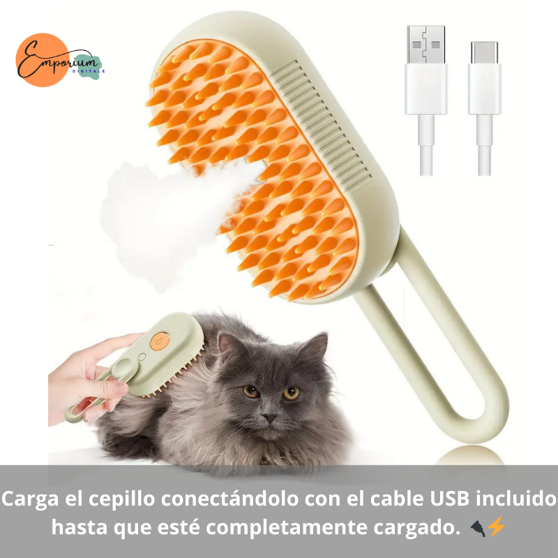 Cepillo 2 en 1 + Colgante Quita Pelos USB Recargable